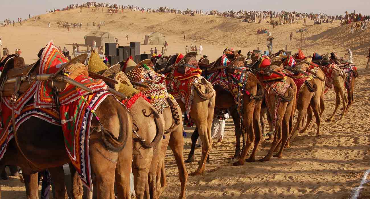 Bikaner Camel Festival