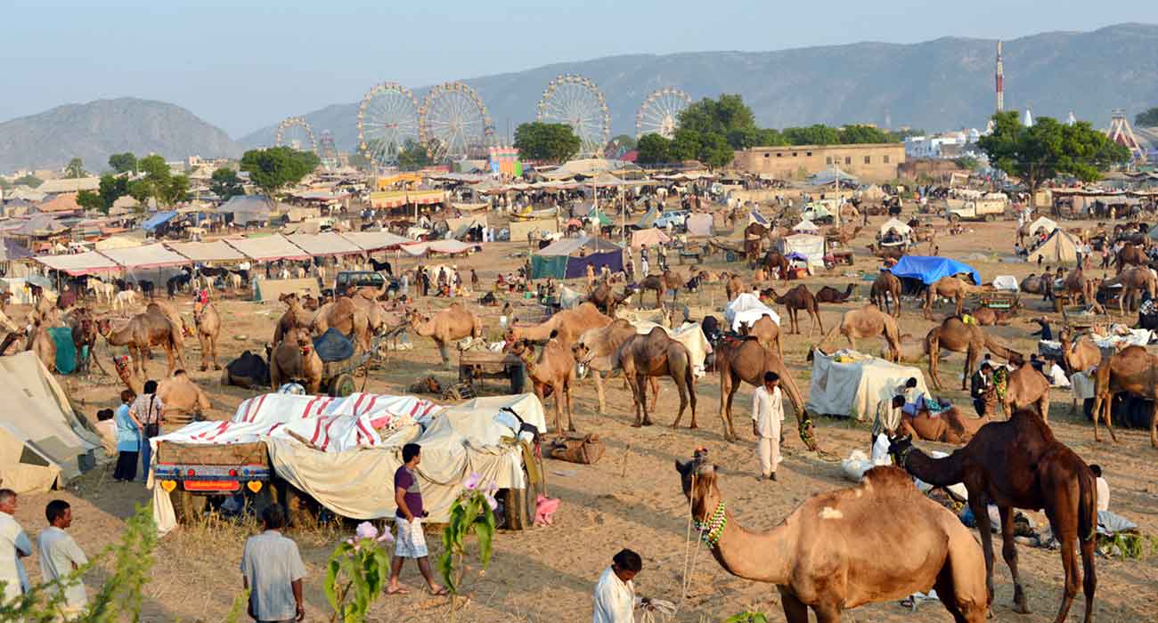 Pushkar Fair Tour