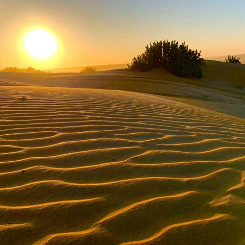 Rajasthan Desert Tour package