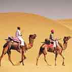 Desert and Camel Safari
